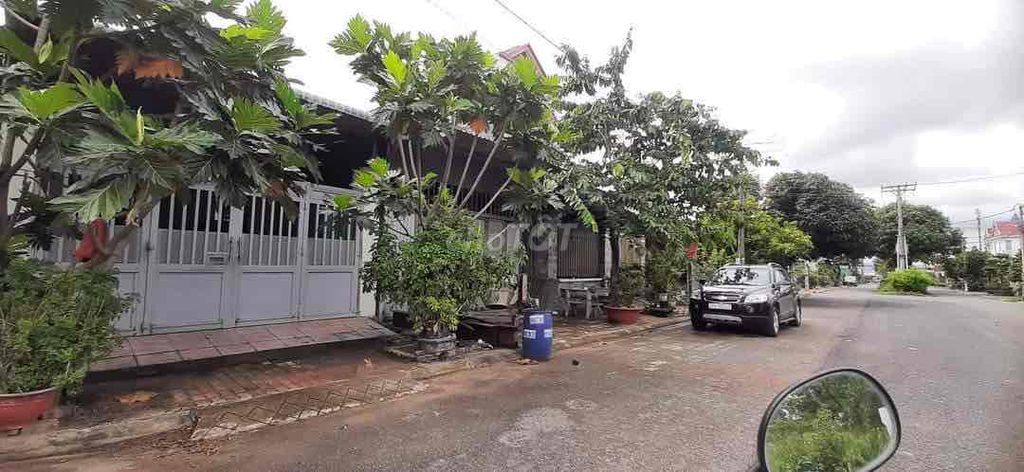 4042851 ảnh đại diện 2
