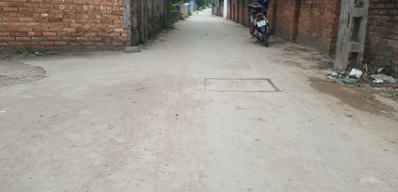 4042588 ảnh đại diện 1