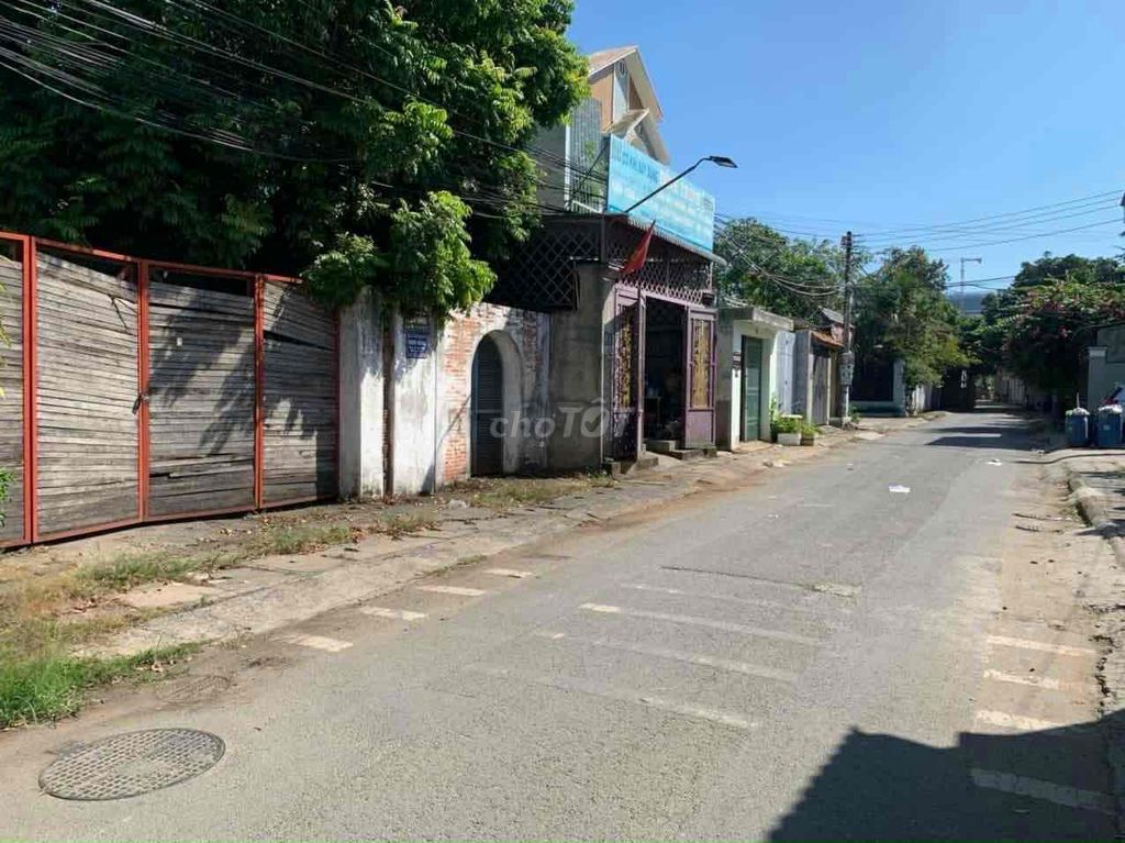 4041709 ảnh đại diện 2