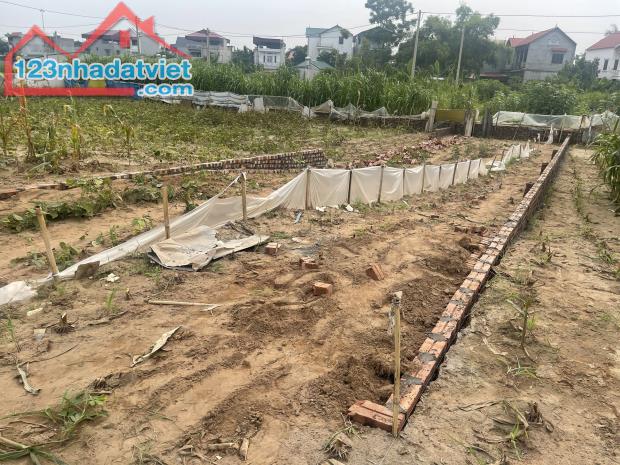 4041855 ảnh đại diện 1