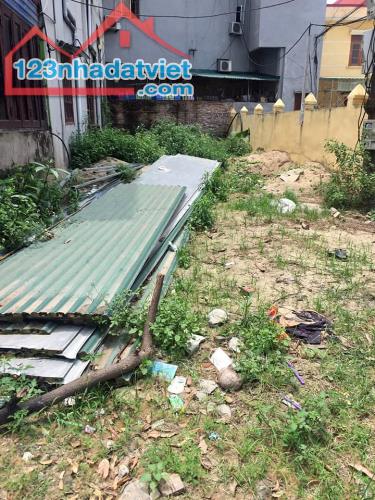 4041869 ảnh đại diện 1