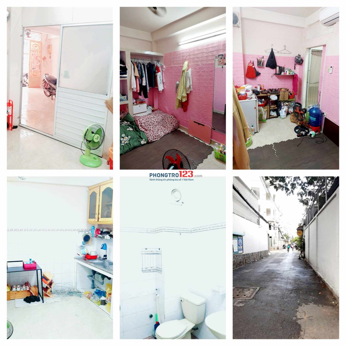 4053750 ảnh đại diện 1