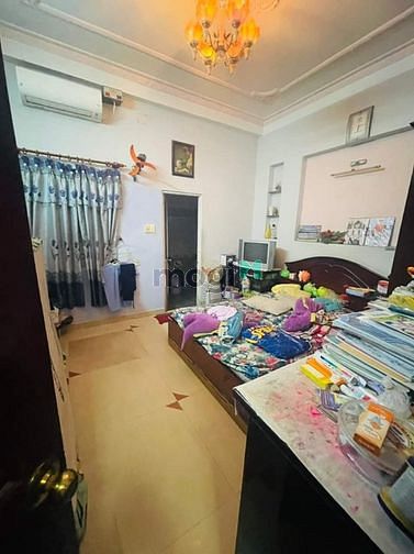 4050451 ảnh đại diện 1
