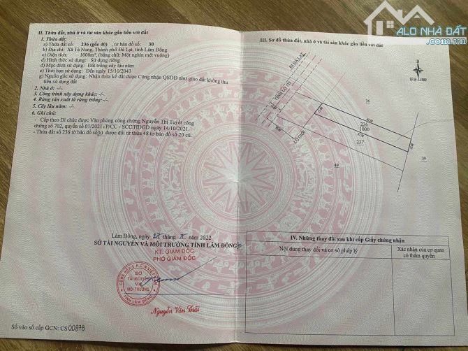 4054113 ảnh đại diện 1