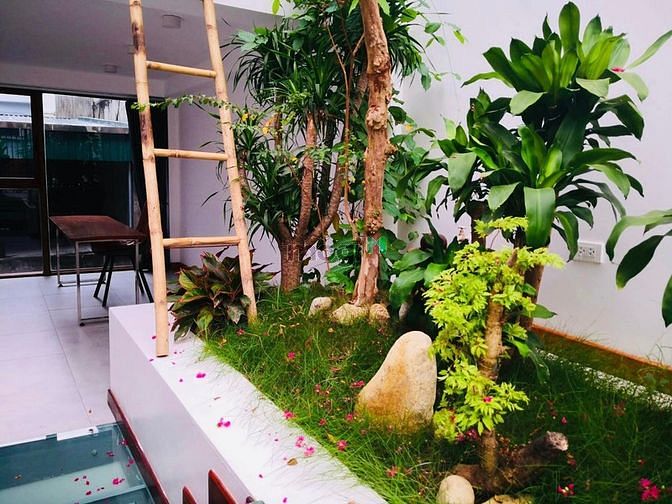 4051216 ảnh đại diện 1