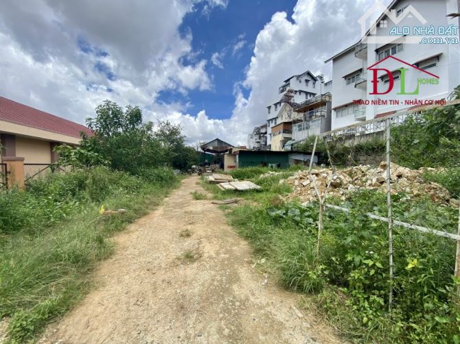 4054108 ảnh đại diện 2