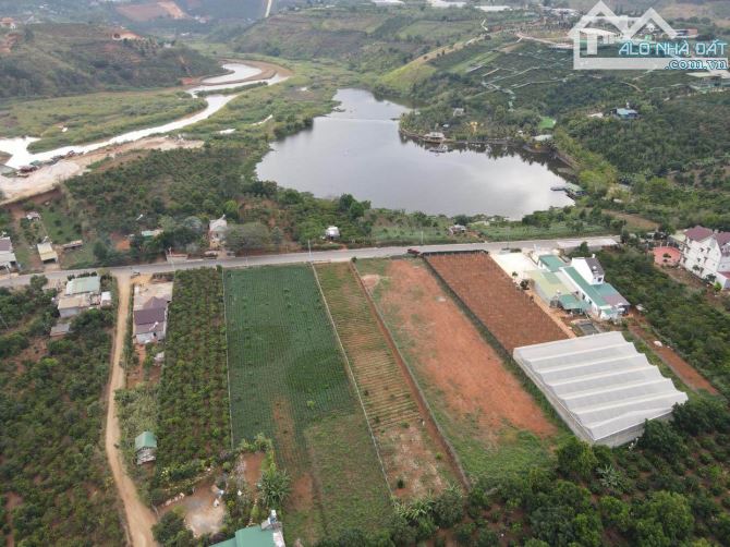 4054113 ảnh đại diện 2