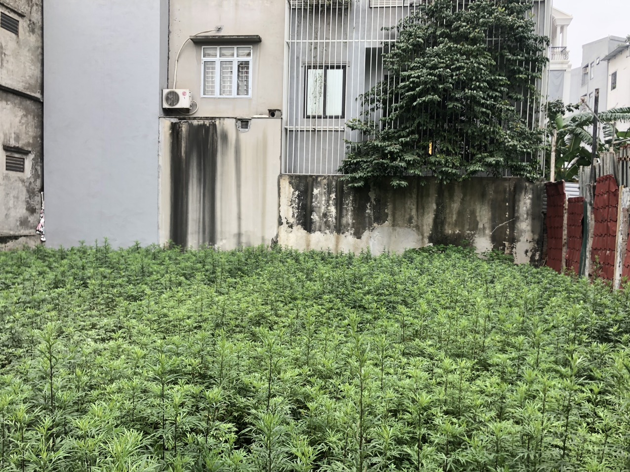 4051445 ảnh đại diện 2