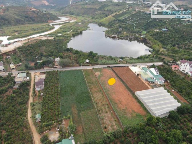 4054113 ảnh đại diện 1
