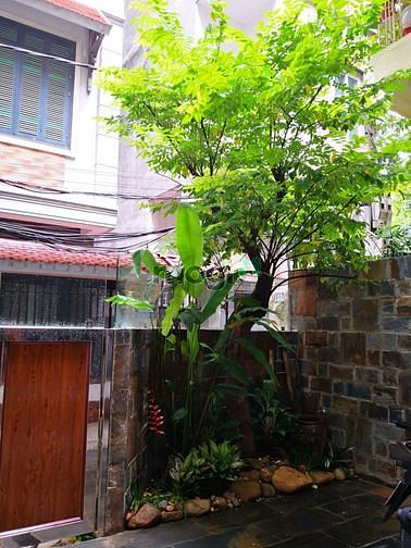 4051216 ảnh đại diện 2
