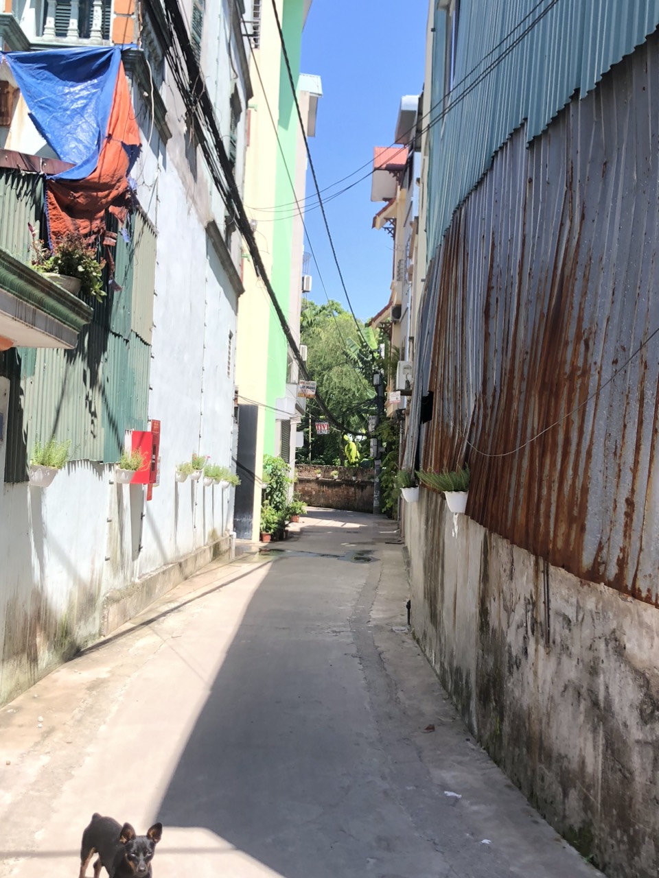 4051445 ảnh đại diện 1