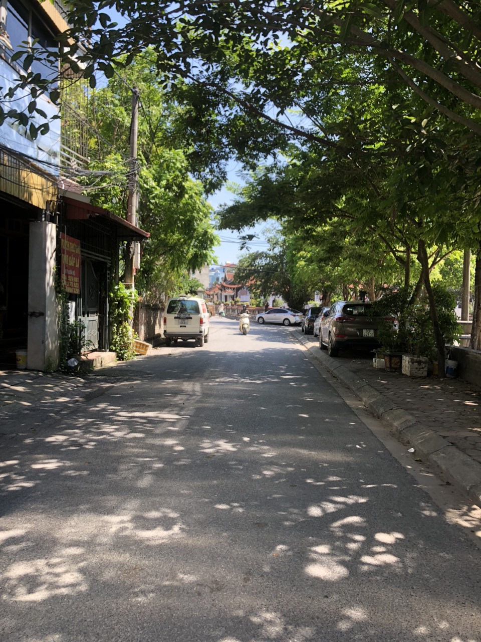 4051445 ảnh đại diện 1