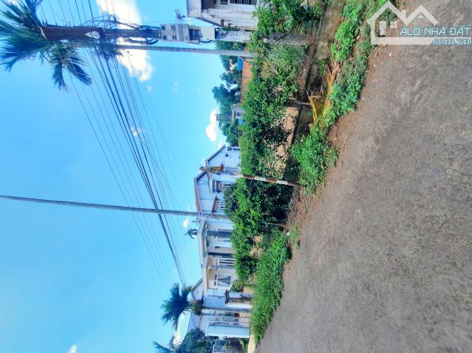 4056762 ảnh đại diện 1
