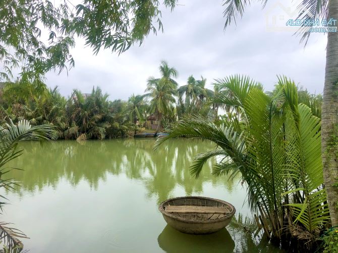 4055062 ảnh đại diện 2
