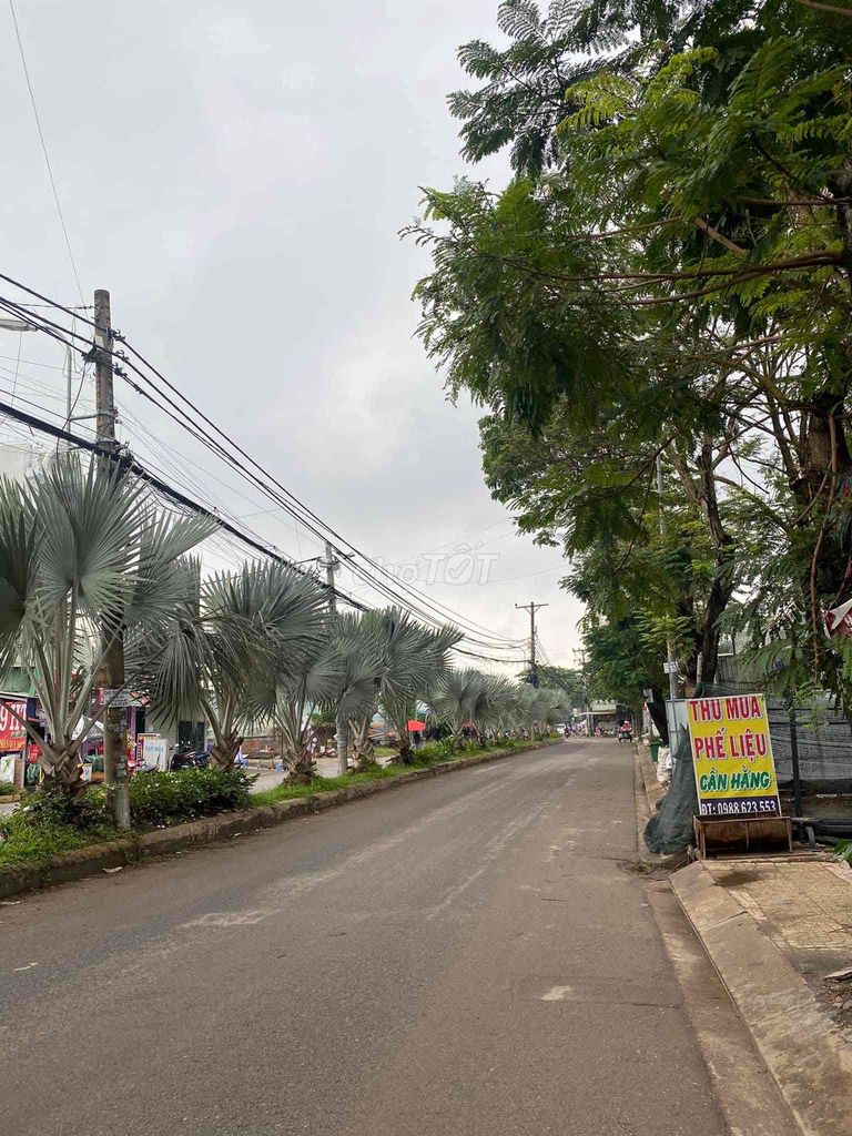 4058605 ảnh đại diện 1
