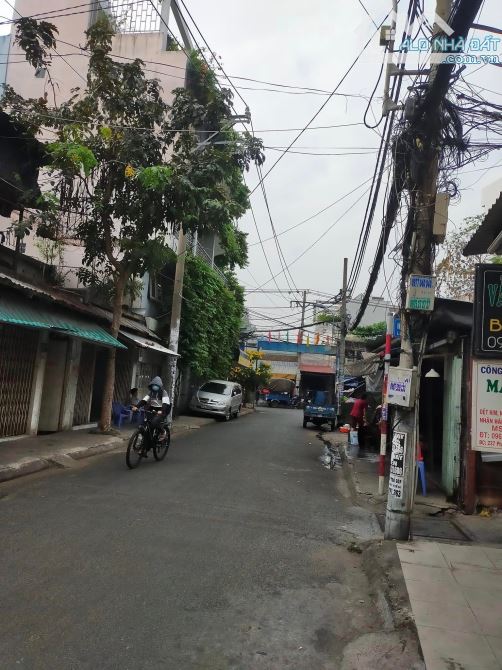 4057722 ảnh đại diện 1