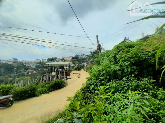 4057596 ảnh đại diện 1