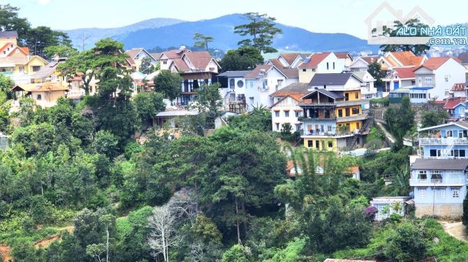 4057590 ảnh đại diện 1