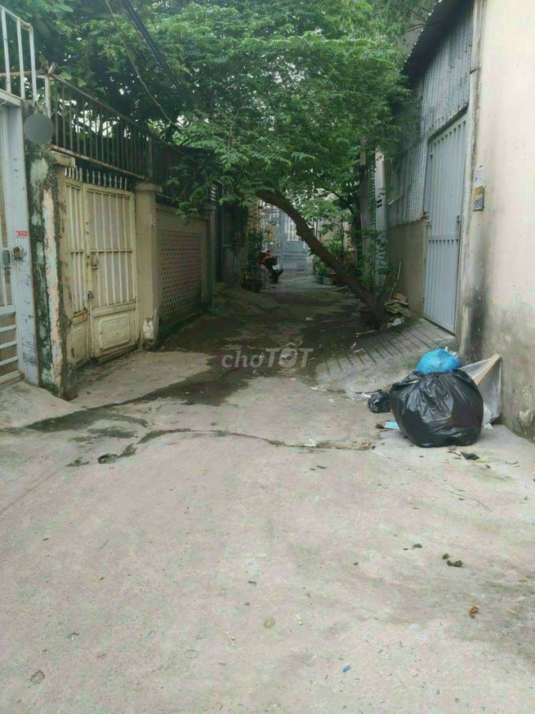 4055294 ảnh đại diện 2