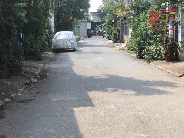 4059147 ảnh đại diện 1