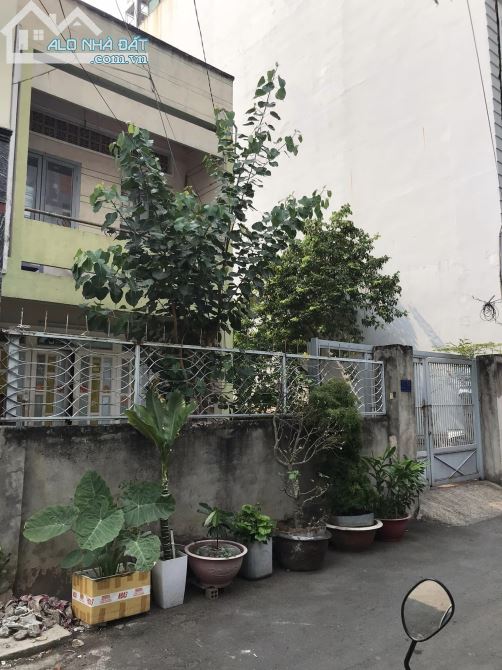 4057689 ảnh đại diện 2