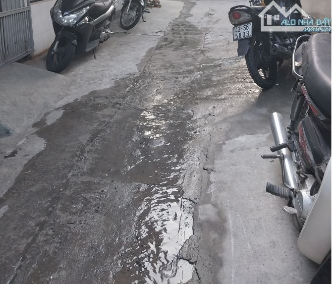 4059039 ảnh đại diện 1