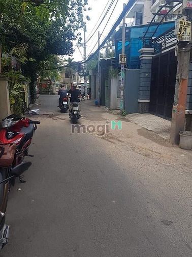 4056618 ảnh đại diện 1