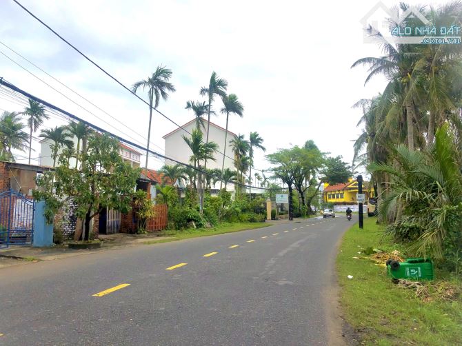 4055062 ảnh đại diện 1