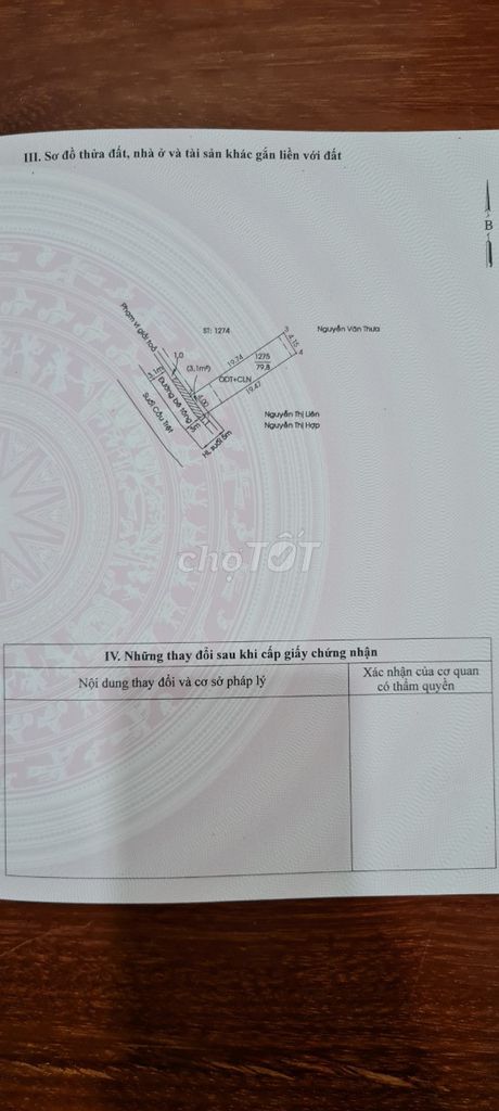 4055595 ảnh đại diện 2