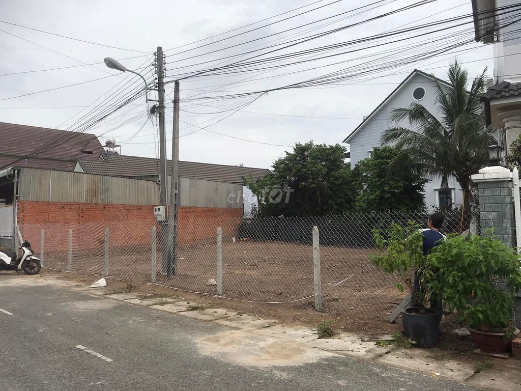 4056637 ảnh đại diện 2