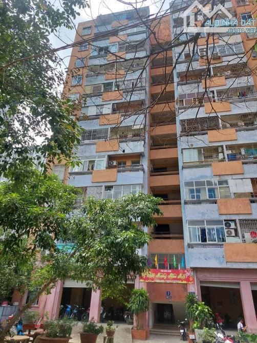 4062202 ảnh đại diện 1