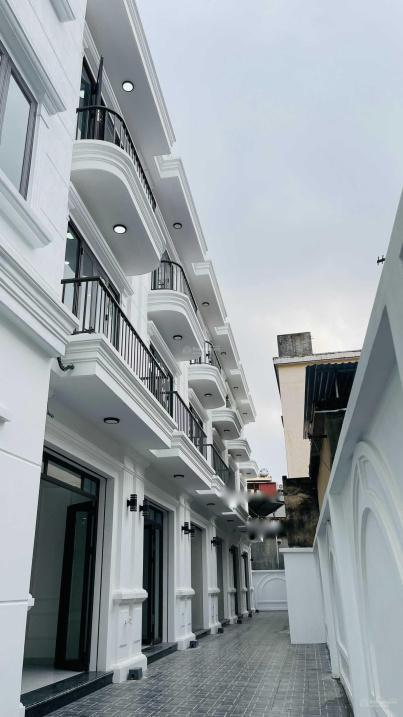 4062174 ảnh đại diện 1