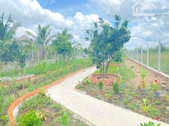 4062846 ảnh đại diện 1