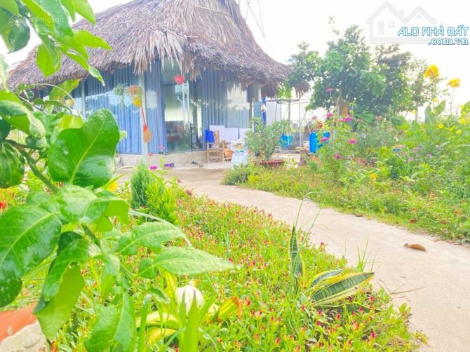 4062846 ảnh đại diện 2