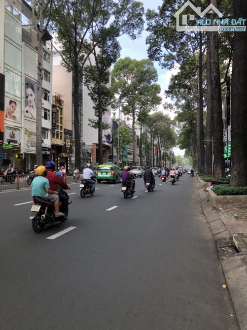 4064729 ảnh đại diện 1
