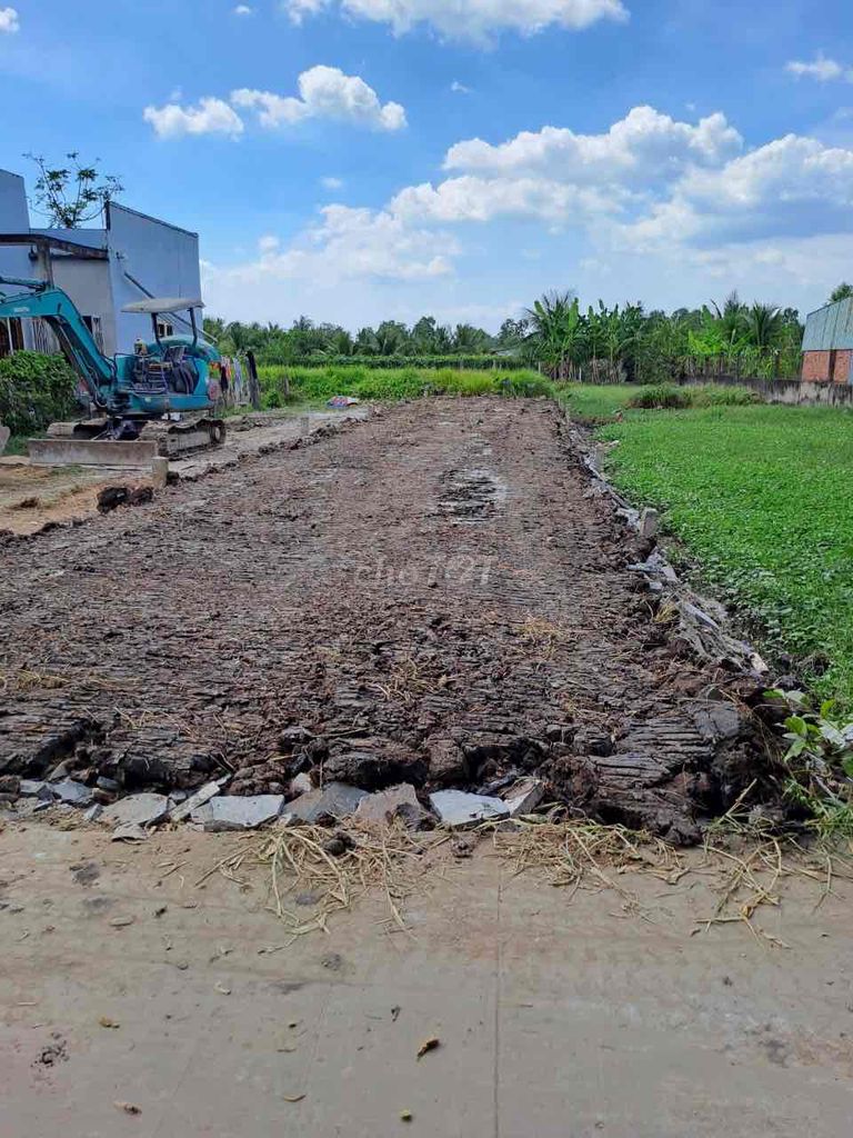 4063532 ảnh đại diện 1