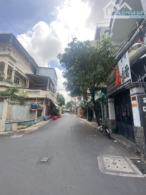 4060002 ảnh đại diện 1