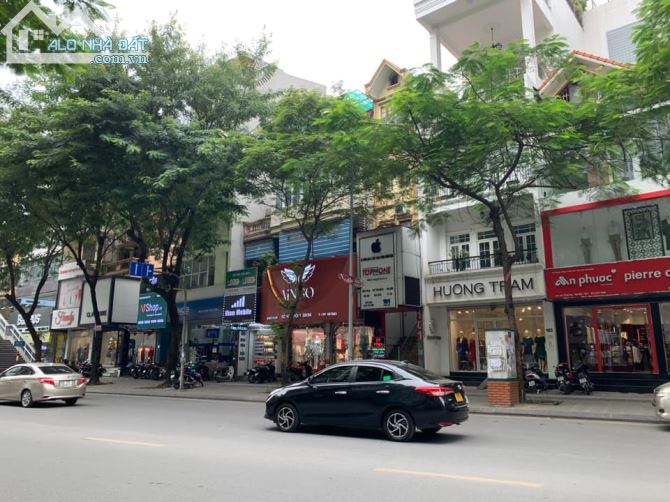 4064894 ảnh đại diện 1