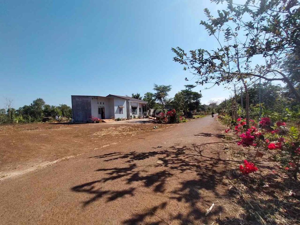 4064007 ảnh đại diện 1