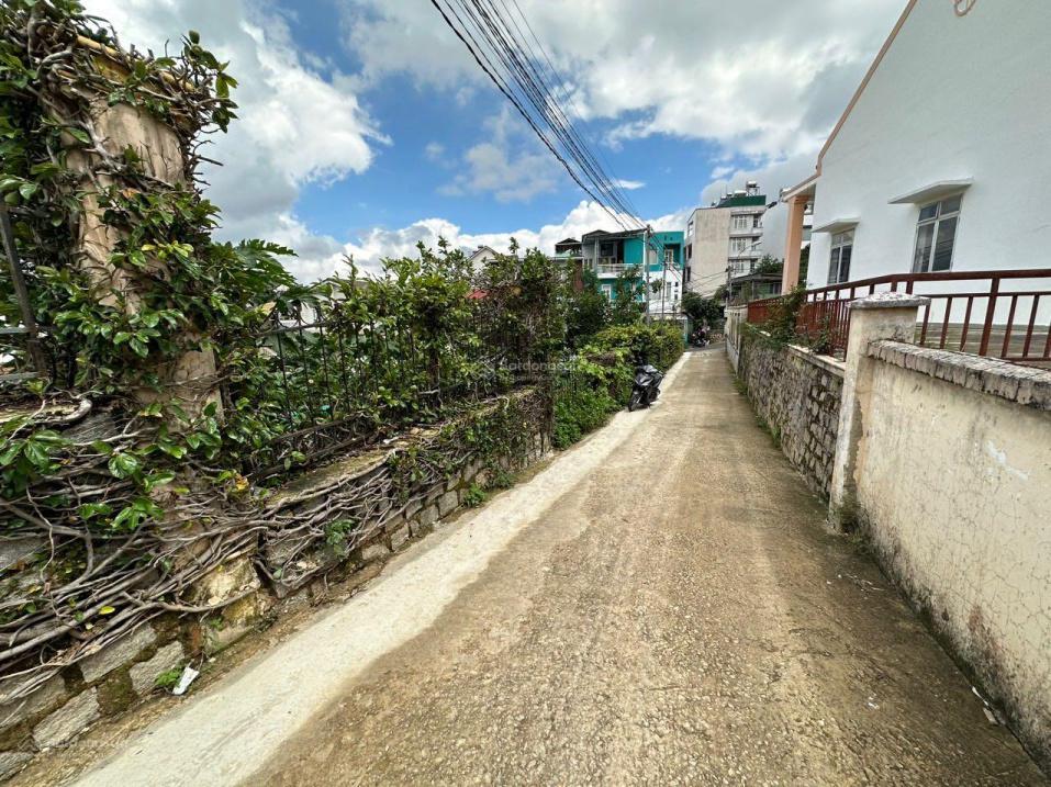 4061369 ảnh đại diện 1