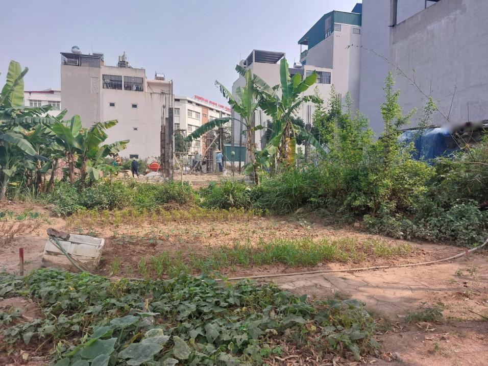 4064193 ảnh đại diện 1