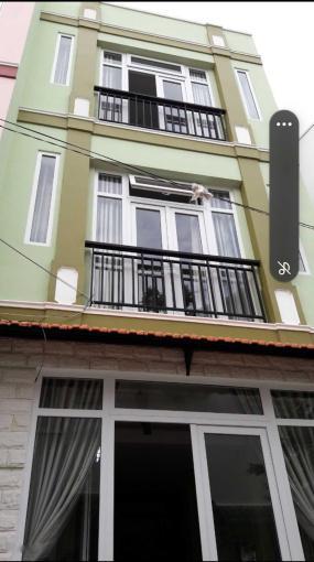 4061564 ảnh đại diện 1