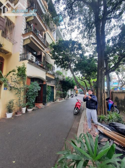 4064917 ảnh đại diện 2