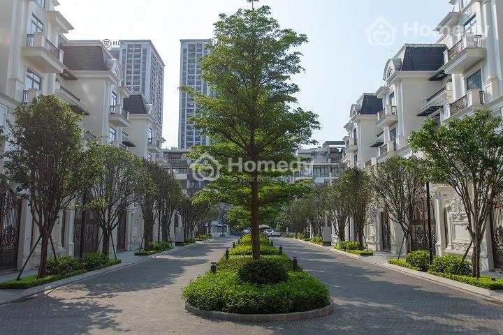 4062092 ảnh đại diện 1