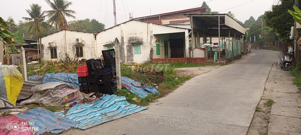 4062562 ảnh đại diện 1