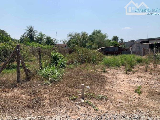 4060706 ảnh đại diện 1