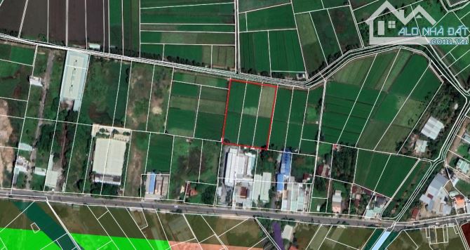 4060698 ảnh đại diện 1