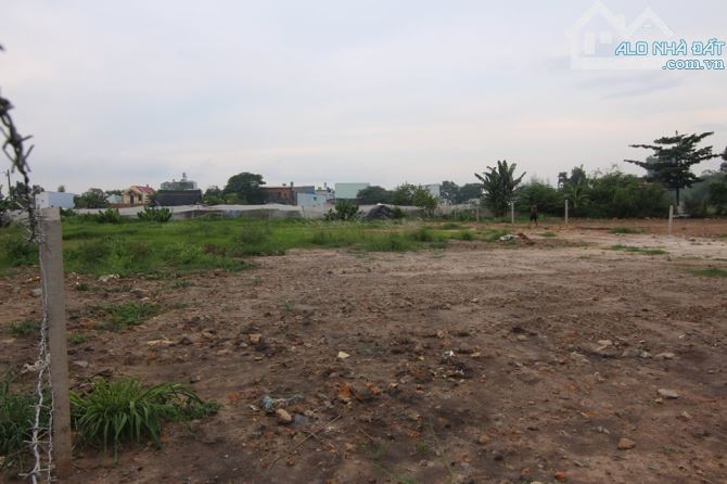 4063803 ảnh đại diện 1