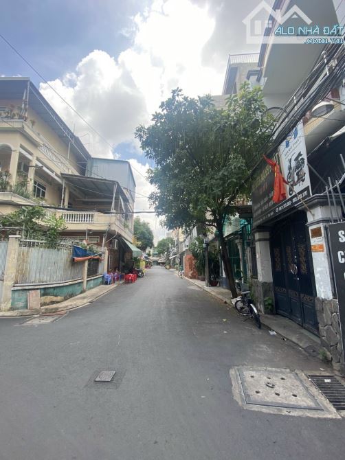 4060003 ảnh đại diện 1