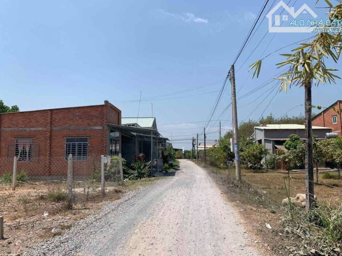 4060706 ảnh đại diện 2